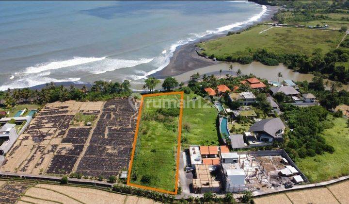 Beachfront land for sale in Cemagi near Canggu Bali 2