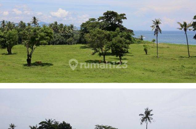 Land for sale on the beach area of Saba Gianyar Price  1