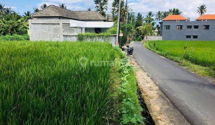 Tanah View Sawah  Pejeng Ubud Sebelah Villa Nyoman 