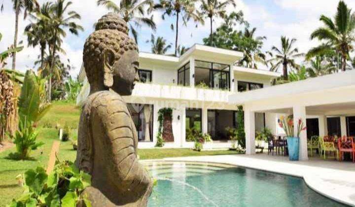 Dijual Villa Di Ubud Gianyar View Sawah  12 Milyar 1