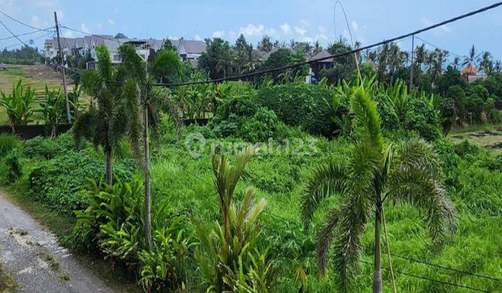 Dijual tanah  los pantai di cemagi dekat canggu bali 2