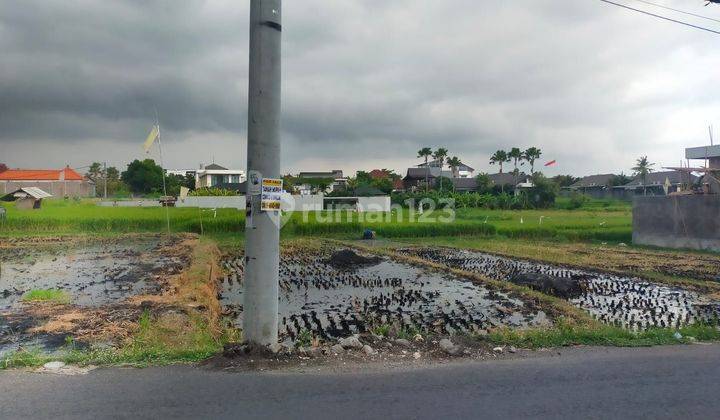 Dikontrakkan Tanah Di Pinggir Jalan Utama Bumbak Kerobokan Bali 2