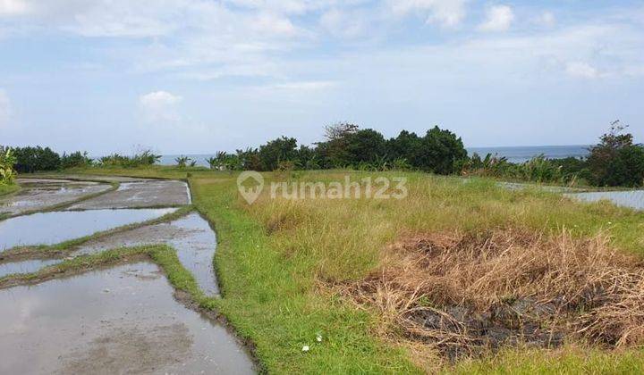 Tanah Pinggir Pantai Pemandangan Laut Sawah Di Yeh Gangga Tabanan 2