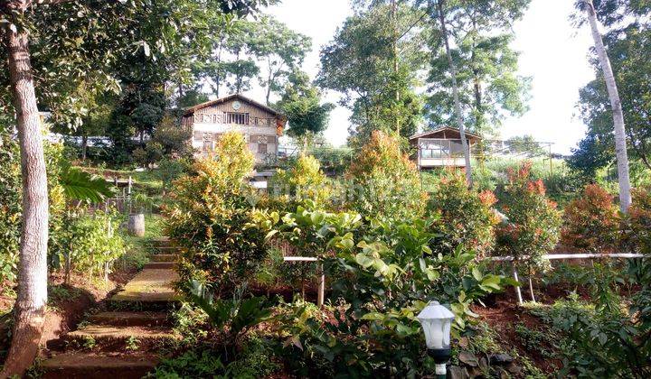 Kebun Dan Kolam Pancing Di Cilengkrang Bandung 1