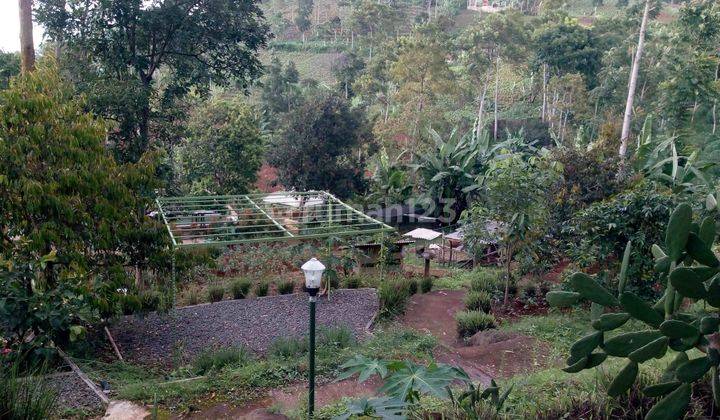 Kebun Dan Kolam Pancing Di Cilengkrang Bandung 2