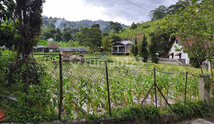 Tanah 8000M² di Bandung, Potensi Wisata & Kuliner