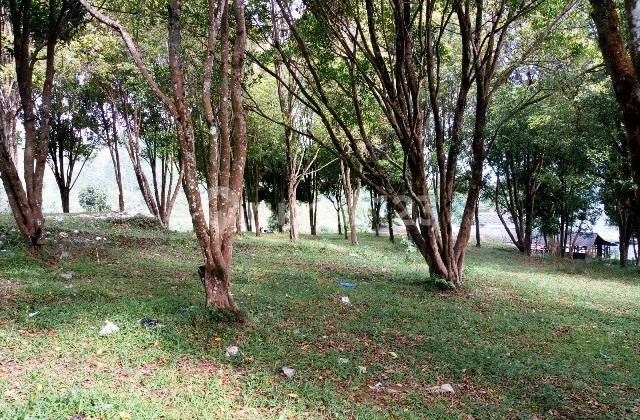 TANAH DI LEMBANG BANDUNG DEKAT KE KAWASAN WISATA