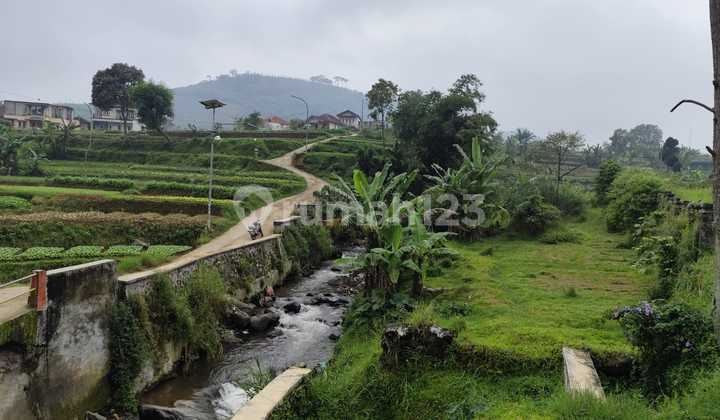 Tanah 19808 m2 SHM Cipanas, Cianjur