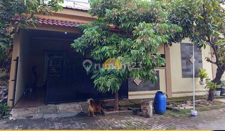 Rumah 1 Lantai Di Jl. Sugriwo Krapyak Semarang Barat 1