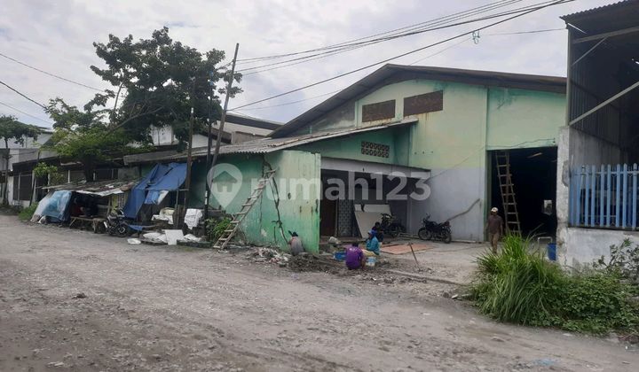 Spacious and Cheap Warehouse in Lik Semarang 2