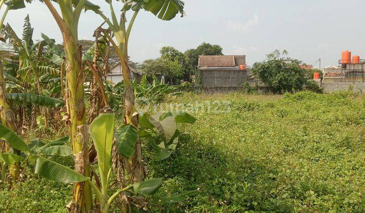 Dijual Tanah di daerah Batursari Mranggen Demak  2