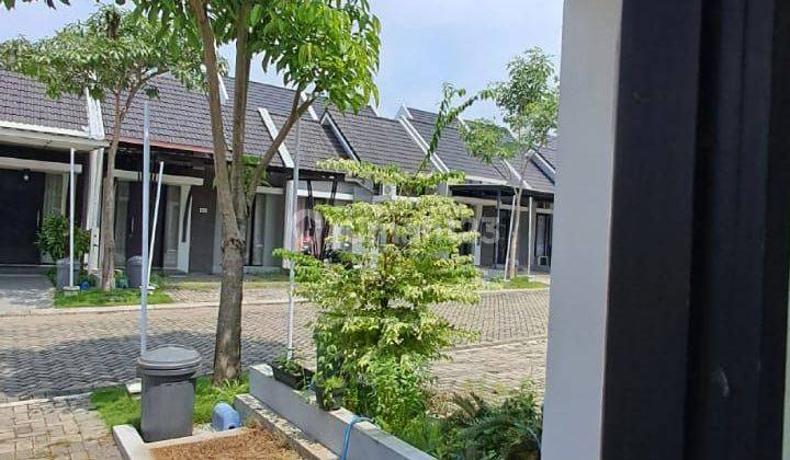 Rumah 1 Lantai di Perumahan Citragrand Sambiroto Tembalang  2