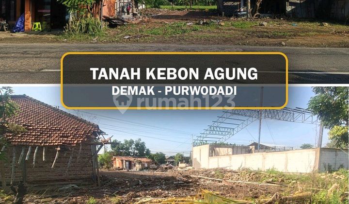 Tanah Strategis Jalan Raya Propinsi Zona Kuning