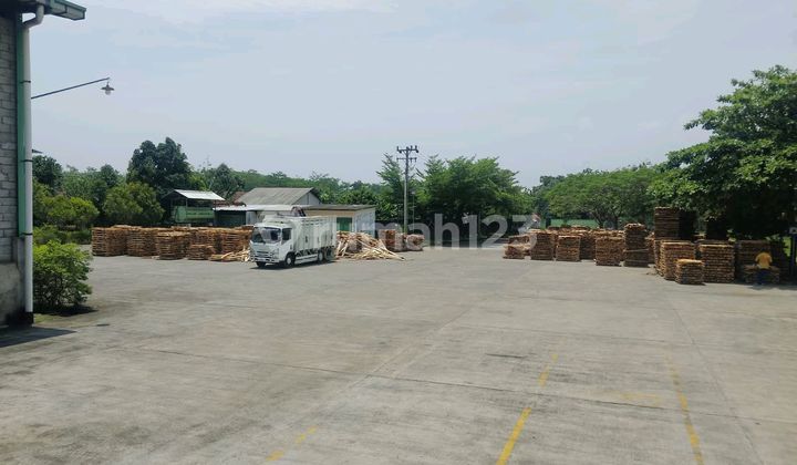Active Wood Processing Factory in Batang, Central Java
