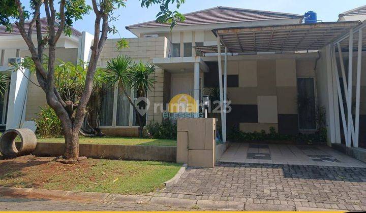 Rumah Cluster Di Perumahan Rafflesia Graha Padma Semarang Barat 1