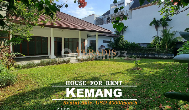 House for Rent with Swimming Pool in Kemang Area