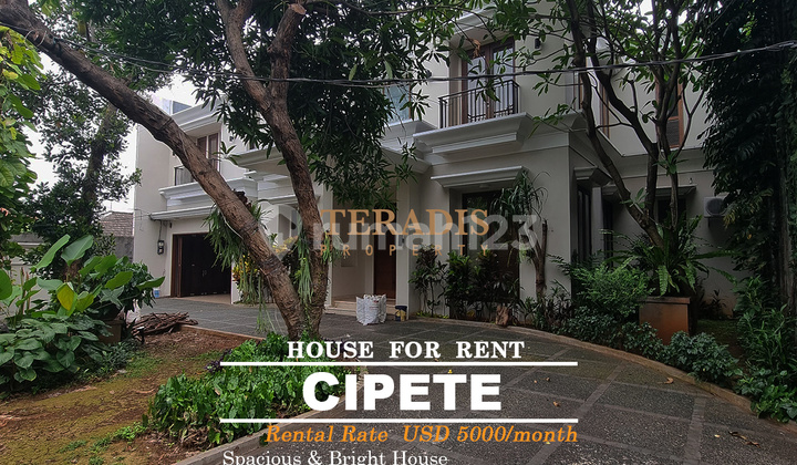 Disewakan Rumah Luas dan Terang di Kawasan Cipete