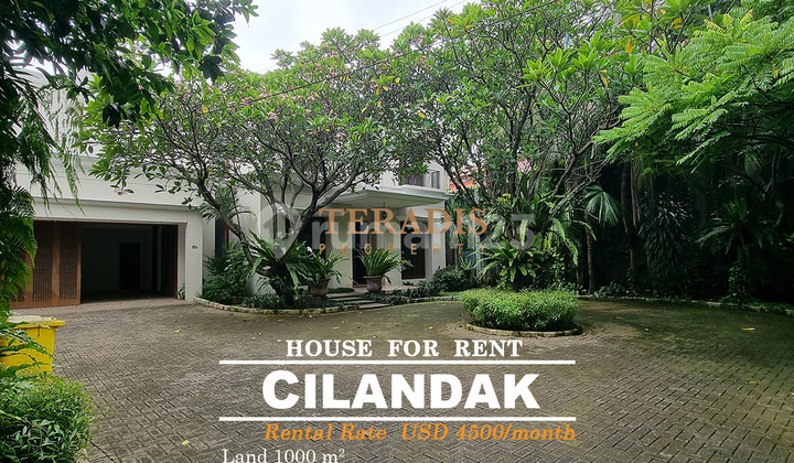 Disewakan Rumah Luas di Kawasan Cilandak