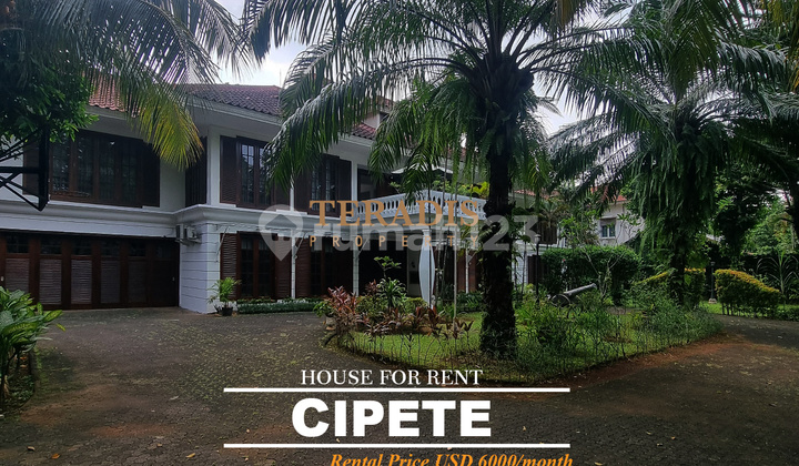 FOR RENT: HOUSE IN THE CIPETE SOUTH AREA