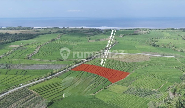 Leasehold Land for 30 Years for Rent in Tibubiu – Near Kelating Beach, Tabanan