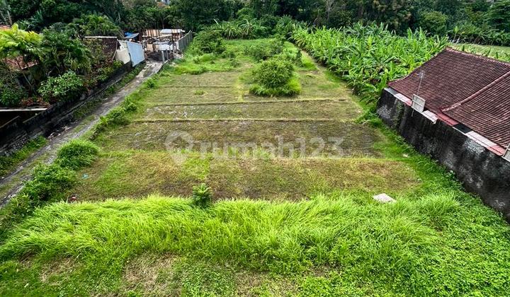 Tanah 26 Are di Pererenan untuk Disewakan - Zona Kuning, Lokasi Sangat Strategis