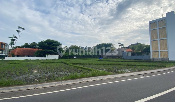 Disewakan Tanah Leasehold 25 Tahun di Canggu - Luas 24 Are, Lokasi Potensial
