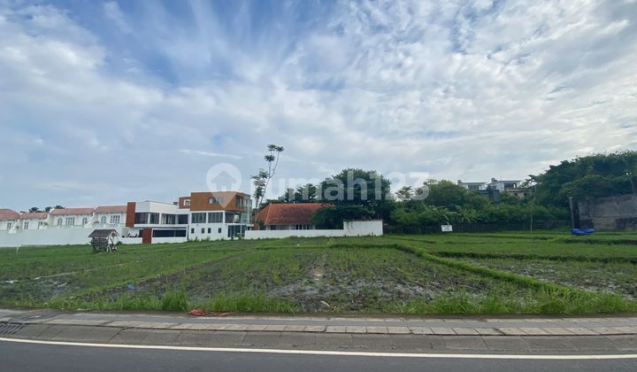 Disewakan Tanah Leasehold 25 Tahun di Canggu - Luas 24 Are, Lokasi Potensial