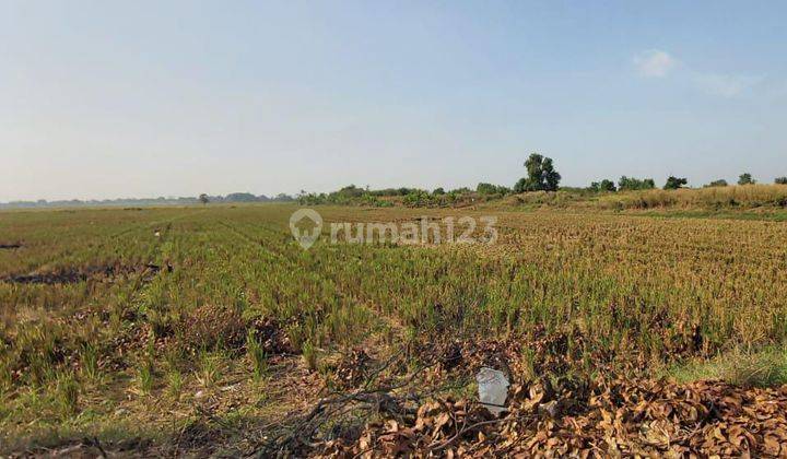 Dijual Cepat Tanah Luas Siap Dibangun di Karawang Jawa Barat  2