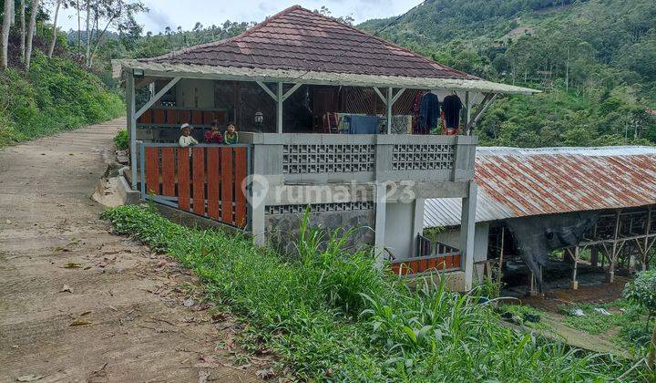 Rumah Luas 2 Lantai Dan Kandang Ayam Luas di Pasir Jambu Ciwidey Bandung 2