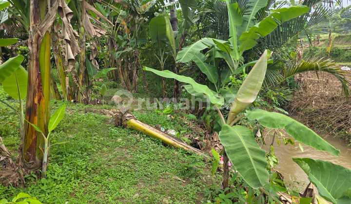 DIJUAL SEGERA TANAH LOKASI MAINDROAD JONGGOL BOGOR LOKASI RAMAI DAN STRATEGIS 