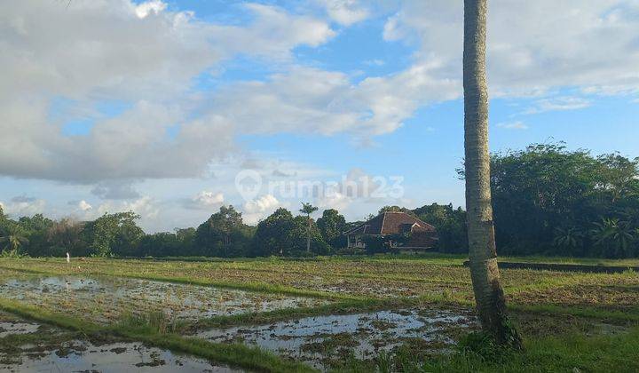 Land Lease Or Rent In Pantai Kedungu Street 1