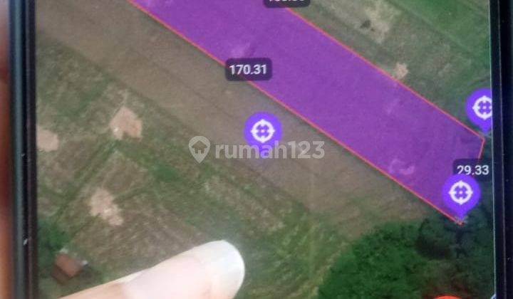 Land Lease Or Rent In Pantai Kedungu Street 5