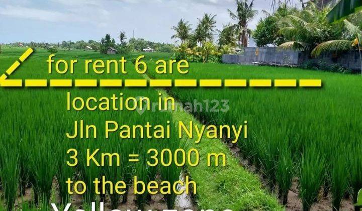 Leasehold Land Or Rent In Pantai Nyanyi Tabanan Bali 1