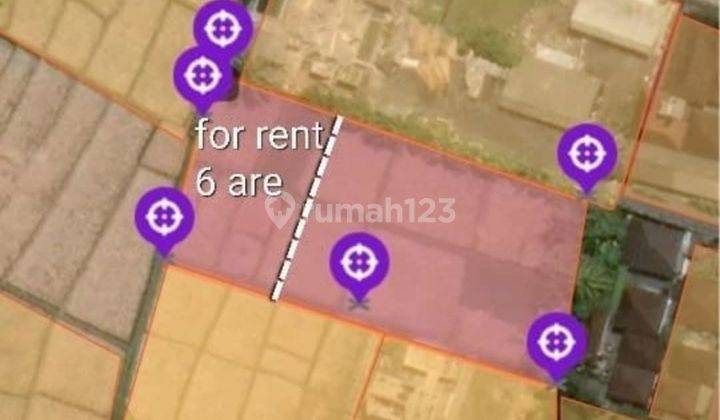 Leasehold Land Or Rent In Pantai Nyanyi Tabanan Bali 4