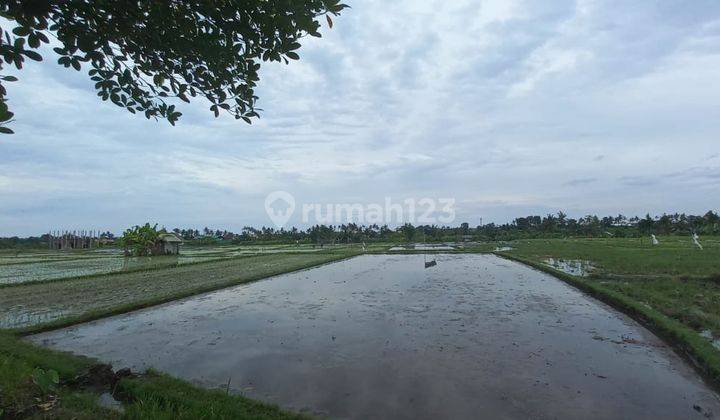 Turun Harga Dijual Tanah Di Pantai Lima Lokasi Premium 2
