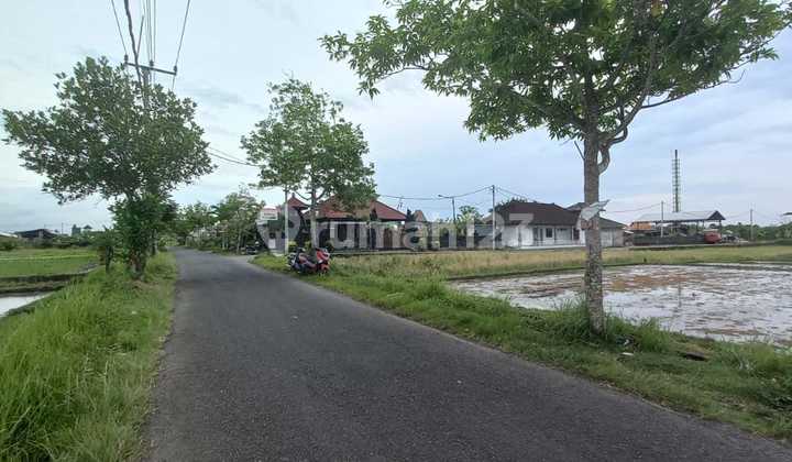 Turun Harga Dijual Tanah Di Pantai Lima Lokasi Premium 3
