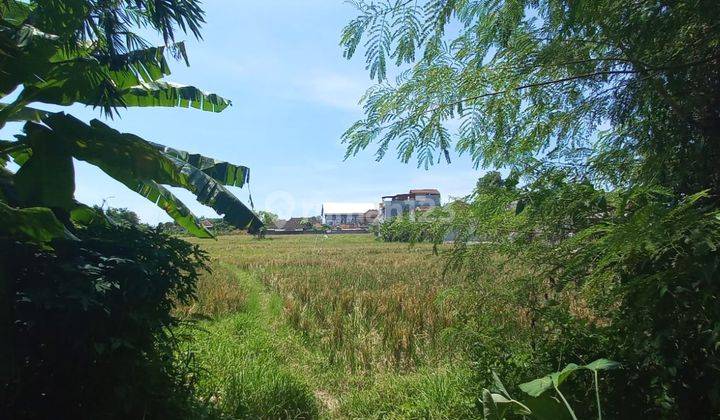 Land Lease Or Rent In Tuka Dalung North Kuta 4
