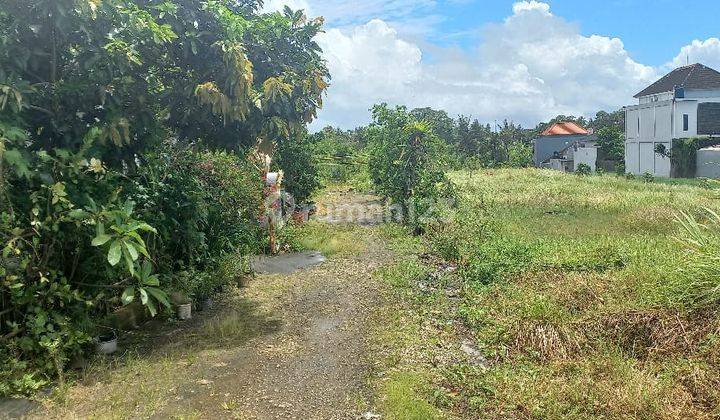 Freehold Land for Sale 17 Are in Munggu  2