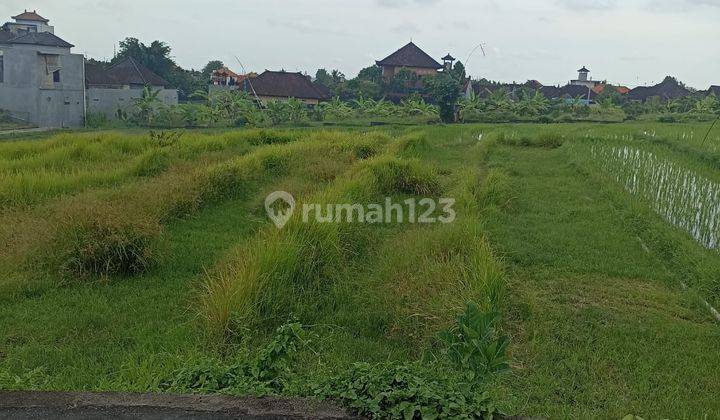 Land Lease Or Rent 10 Are In Raya Padonan 2