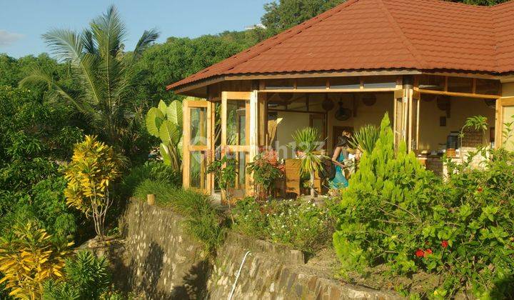 Reduced Price Land Sale Ocean View Hotel In Labuan Bajo Komodo 1