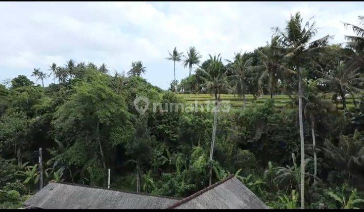 Riverside Land For Lease Or Rent 9 Are In Buduk 2