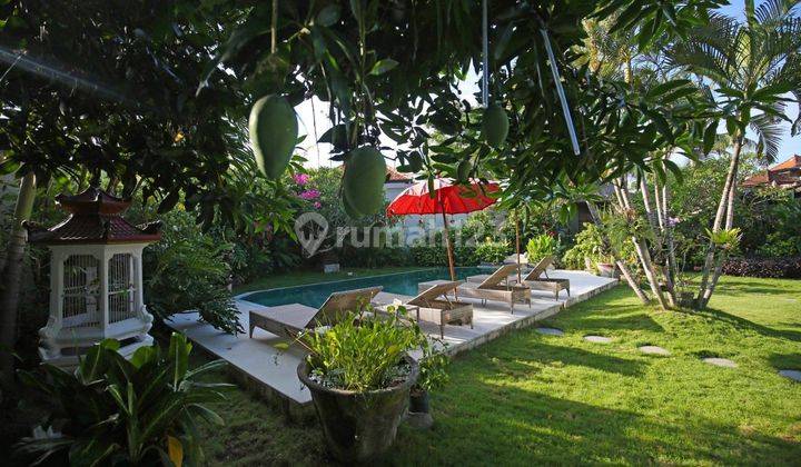 Spacious And Cozy Villa For Monthly Rent In Seminyak Area 2