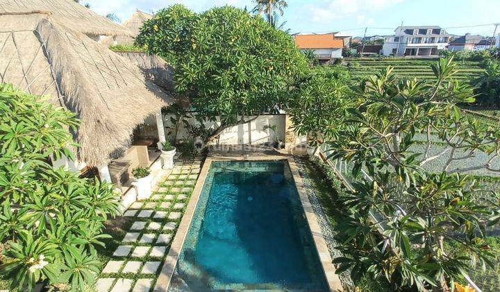 Bright Beautiful View Villa Walk Distance To Pererenan Beach 2