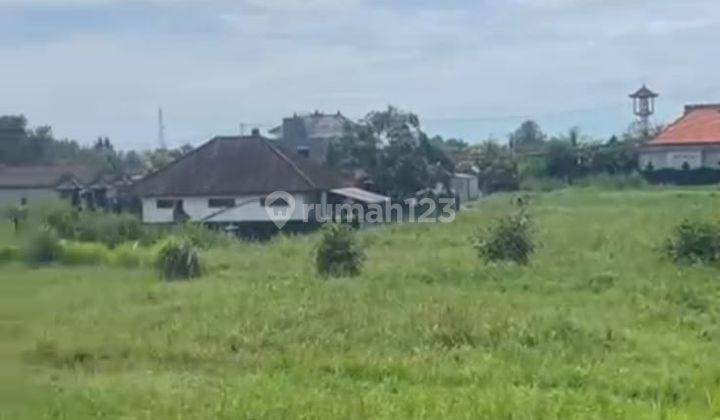 Rice Field View Land For Sale Freehold In Kedungu  1