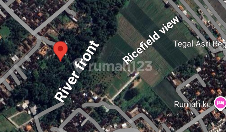 Jungle & Riverfront Land Leasehold In Kedungu Area Jungle & Riverfront Land Leasehold In Kedungu Area