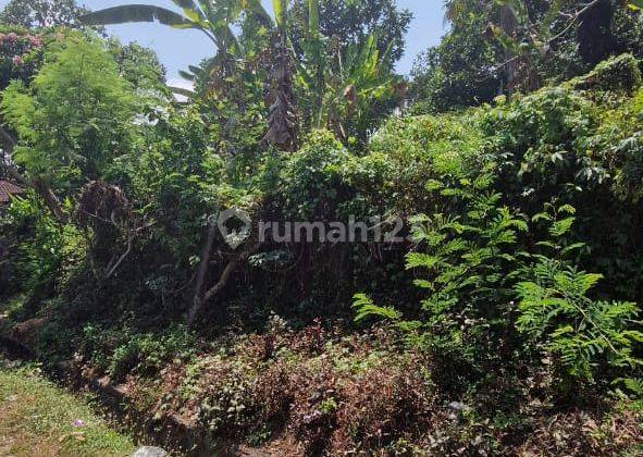 Ocean View Land For Sale Freehold In Kelating Tabanan 2