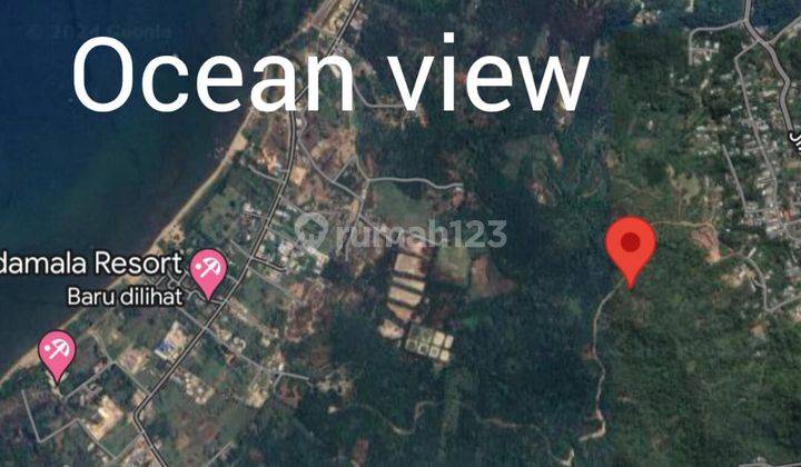 Ocean View Land For Sale Freehold 36 Are In Labuan Bajo  1