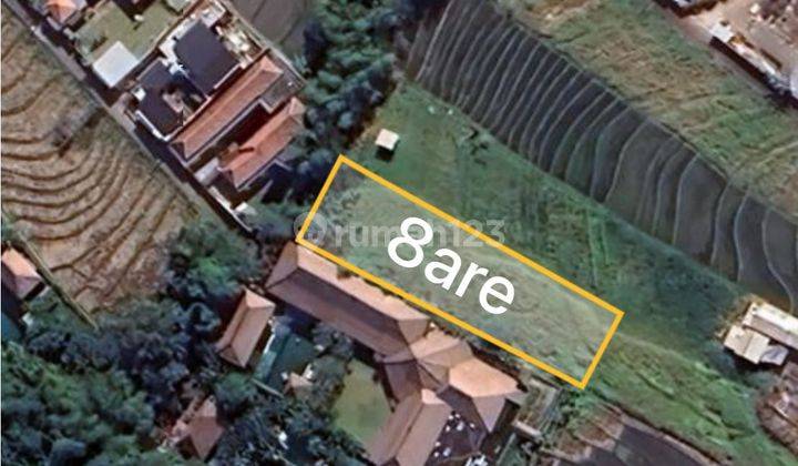 Land For Leasehold In A Prime Location Of Canngu Center  2