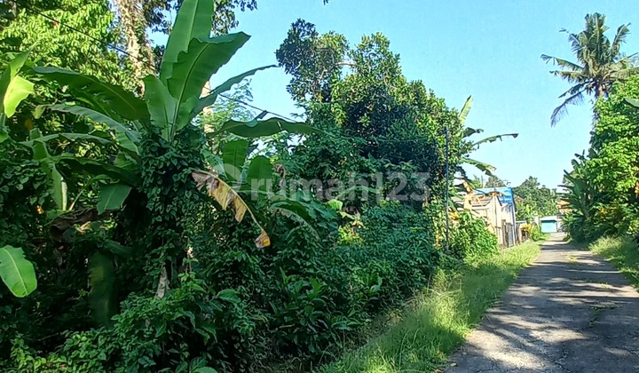Cheap Land For Sale At Pasut Beach Tabanan