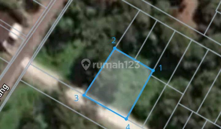 Dijual Tanah 4 Are di Buduk Cica  1